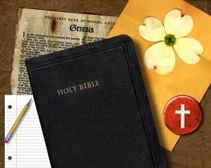 Bible Study
